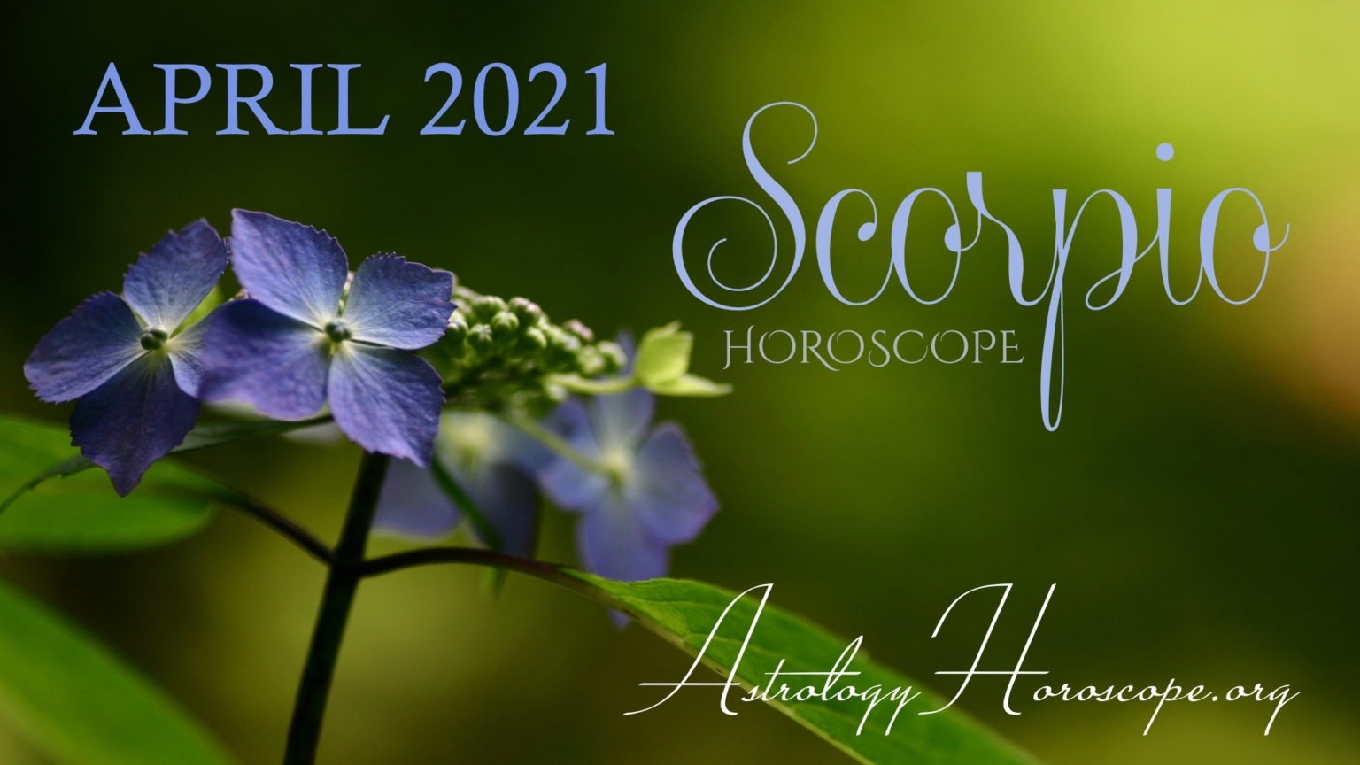 Scorpio Horoscope For April 2021 - Horoscope 2021