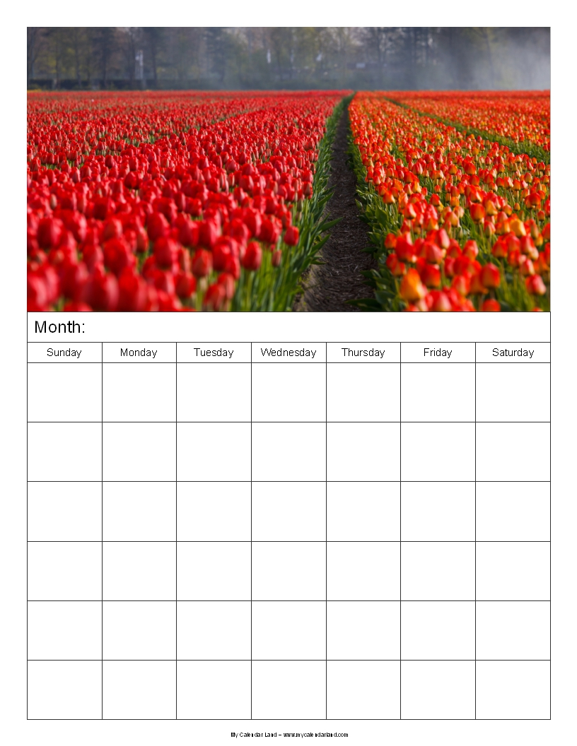 Blank Calendar Printable - My Calendar Land