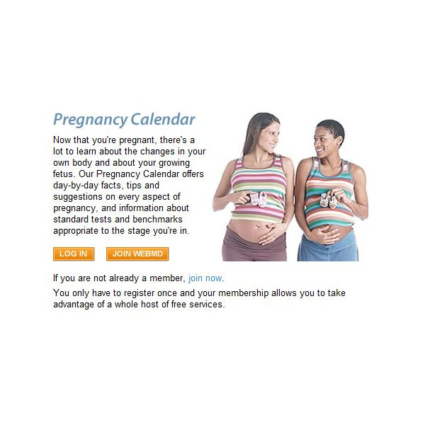 Printable Pregnancy Calendar Dayday