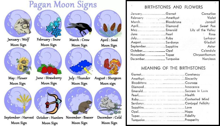 Signs Zodiac Birthday - Zodiac Signs Horoscope Born On